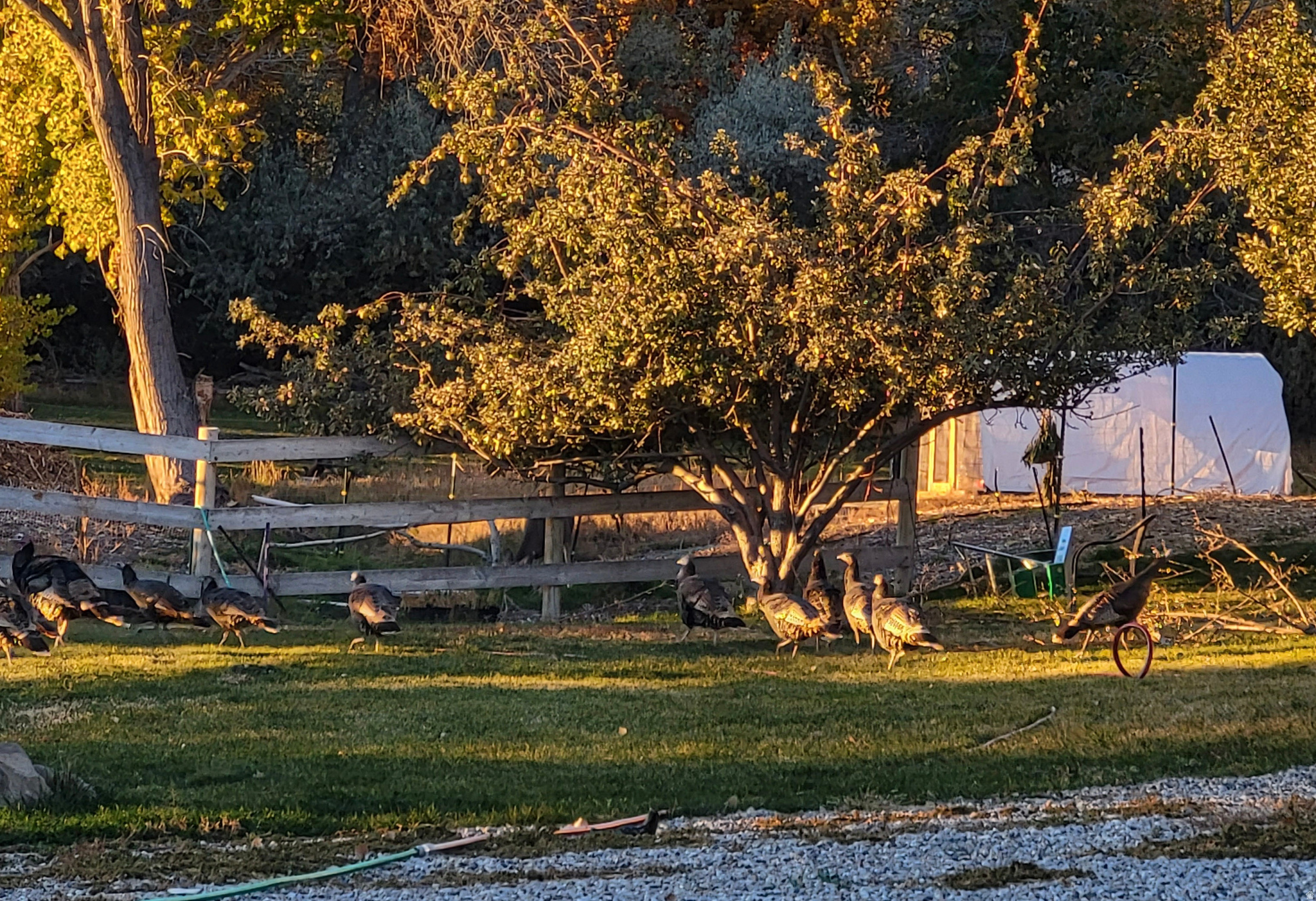 main property photo 57