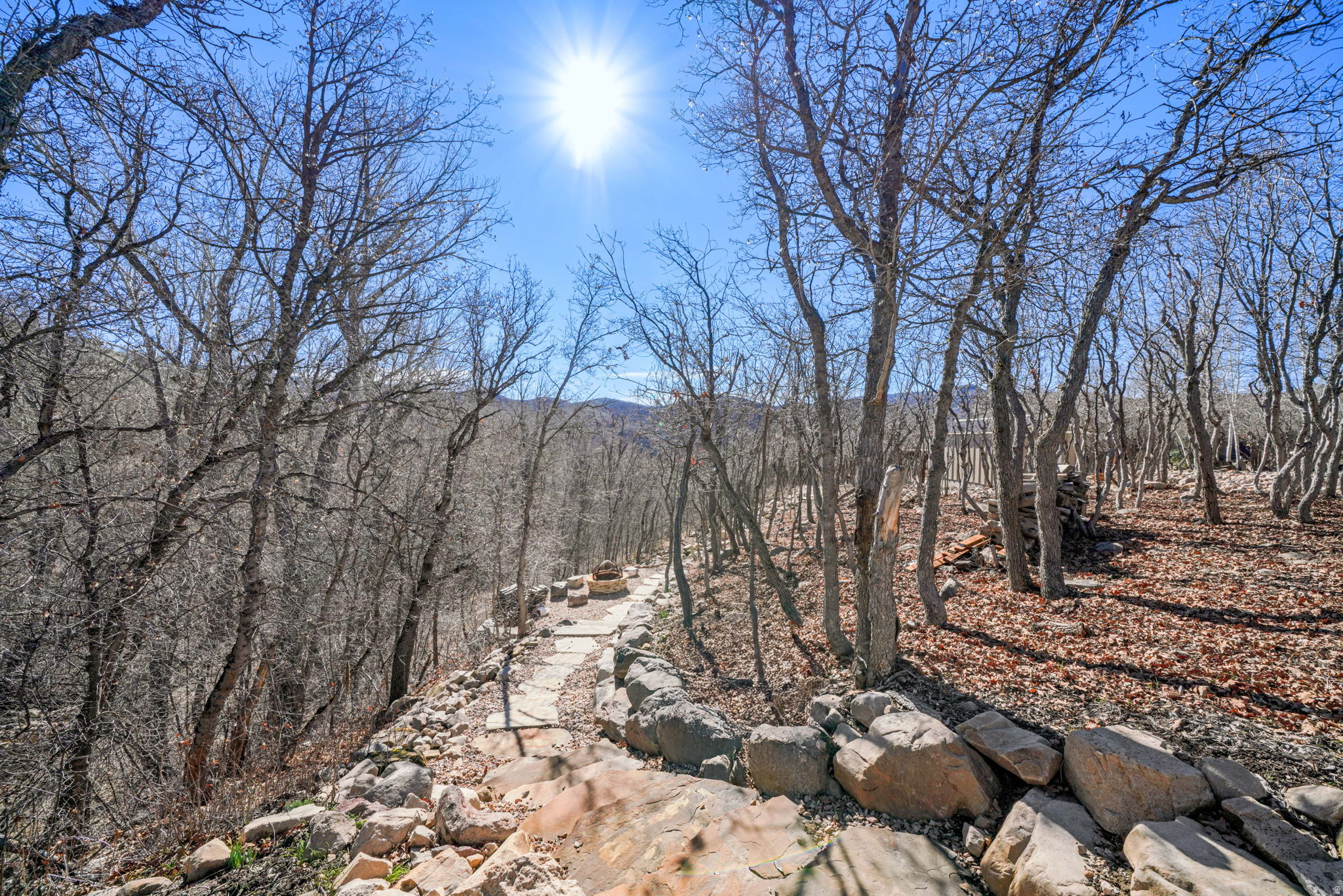 main property photo 49