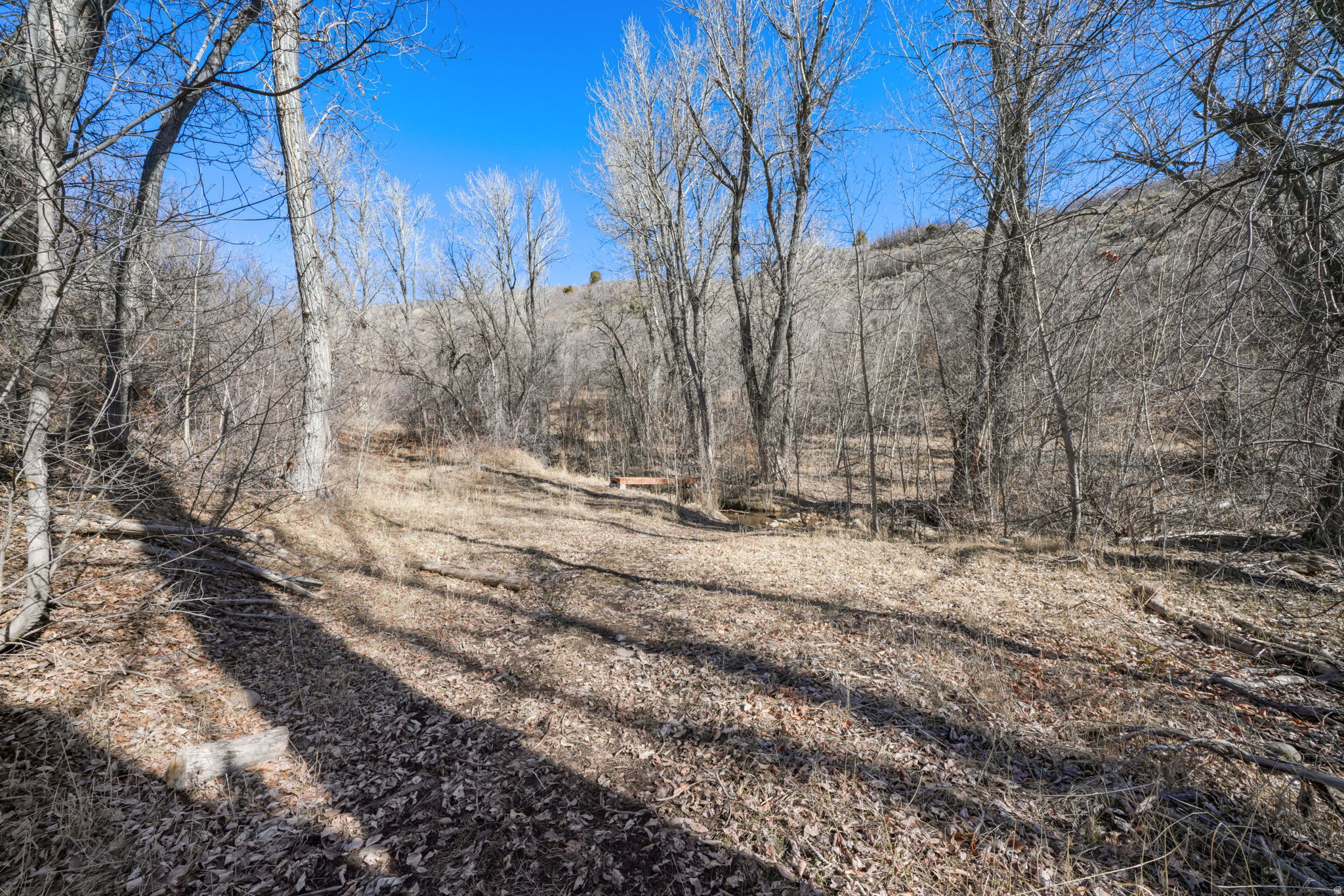 main property photo 52