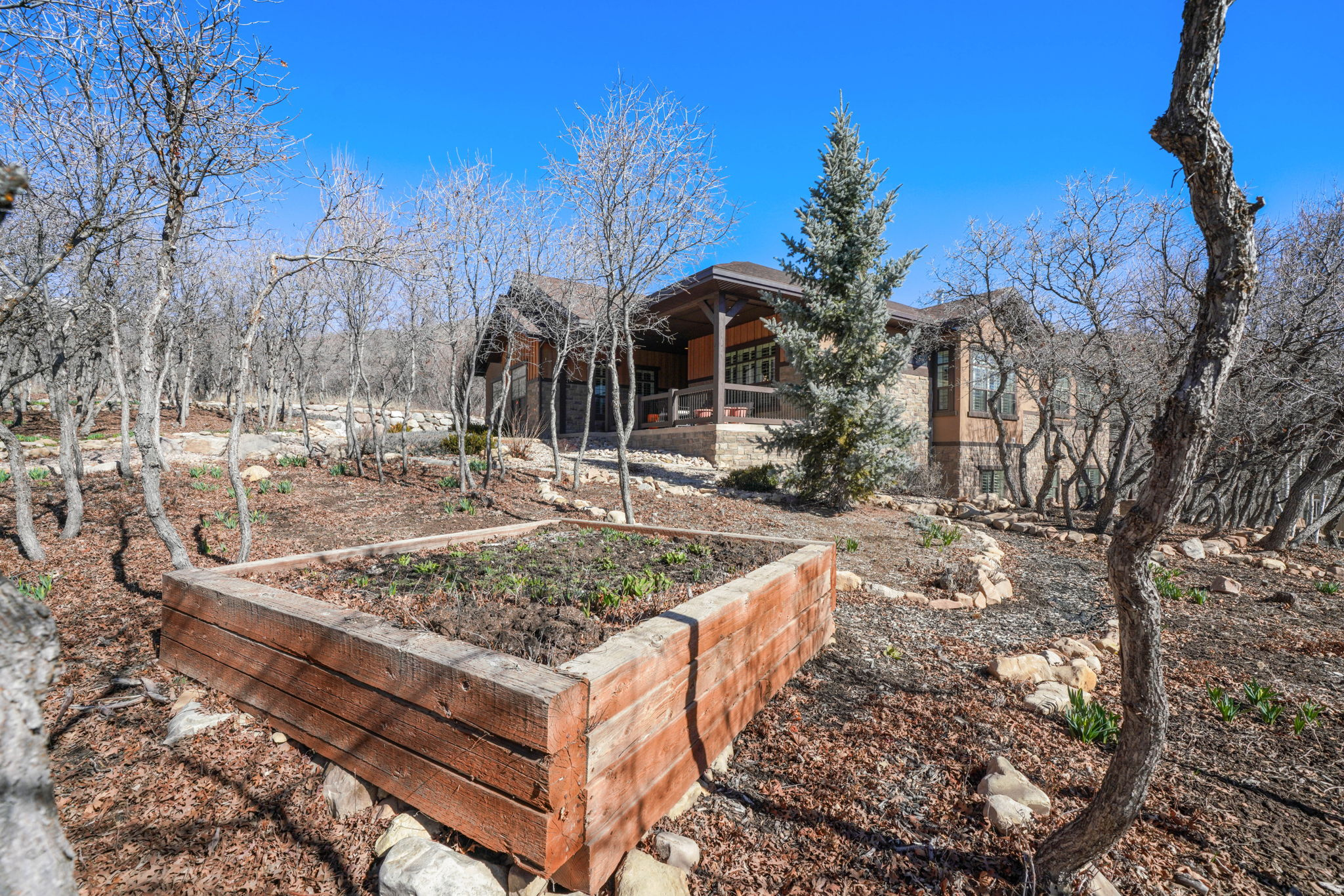 main property photo 56