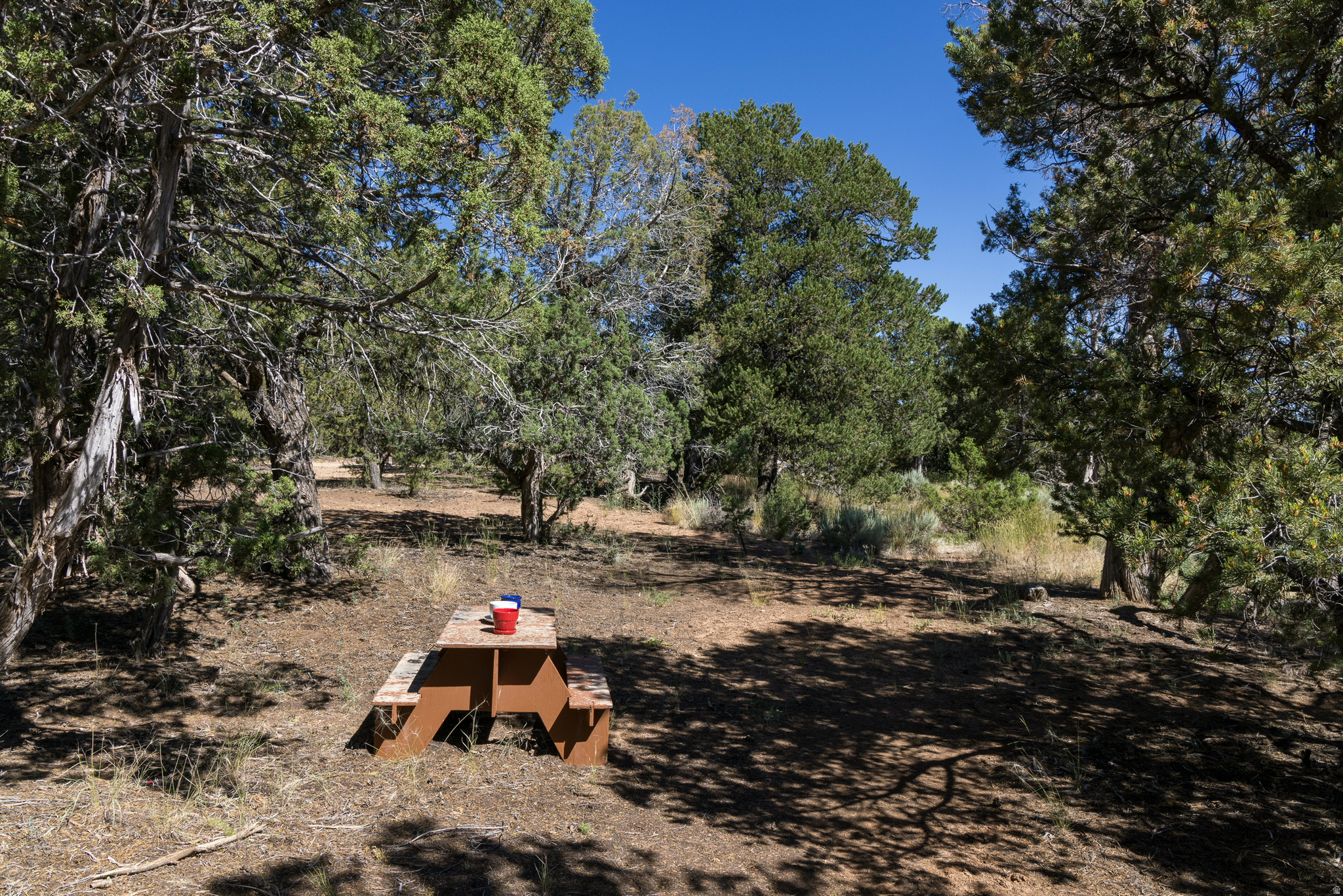 main property photo 56