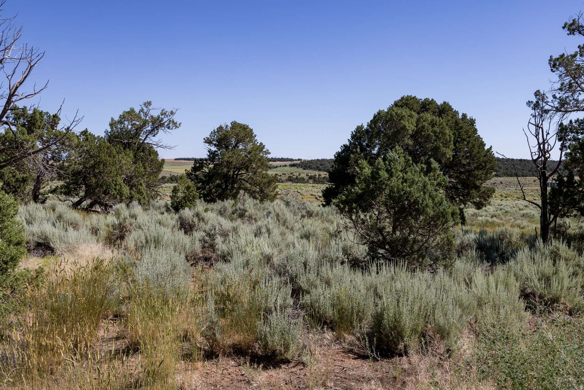 main property photo 57