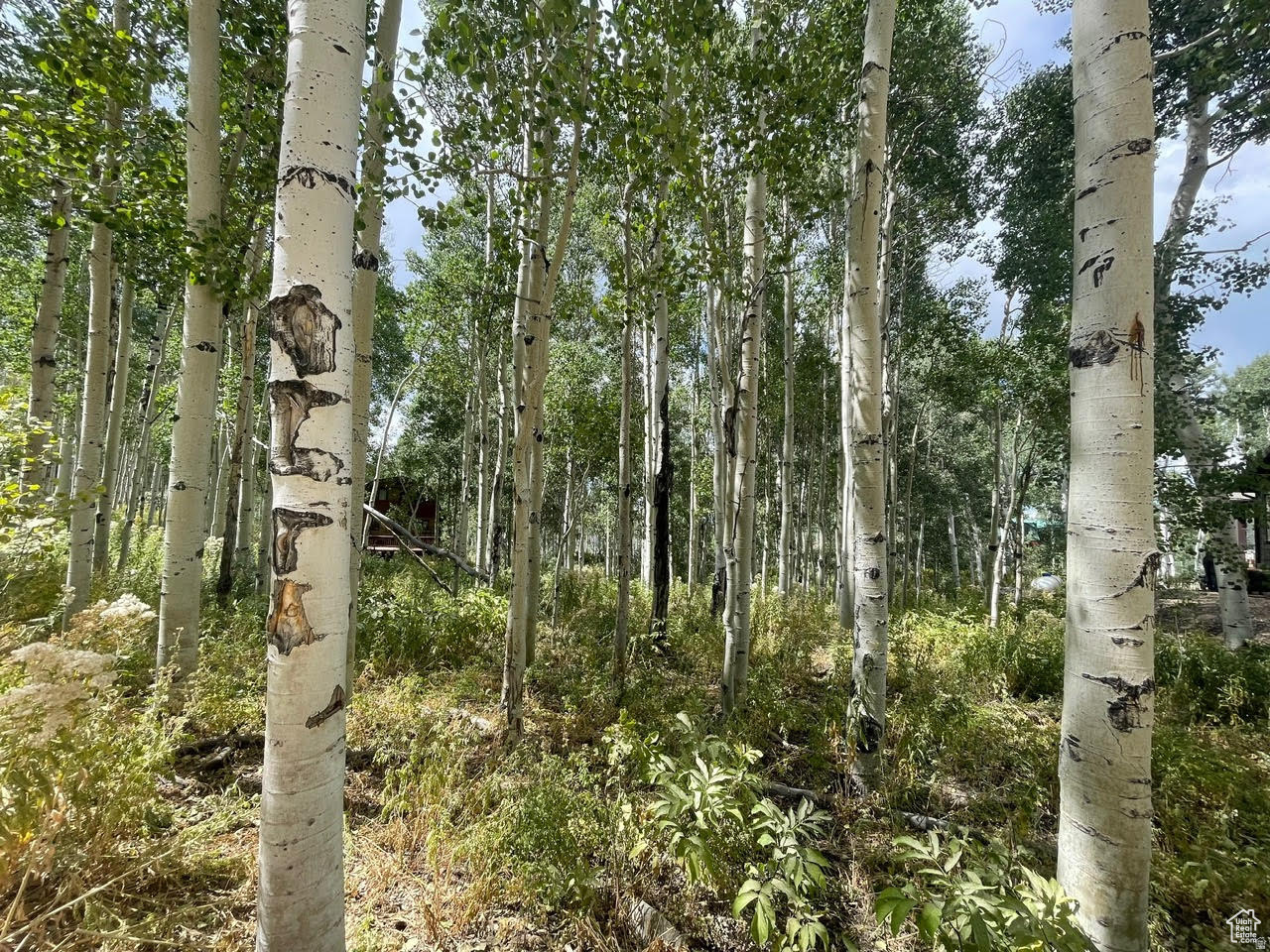 main property photo 10