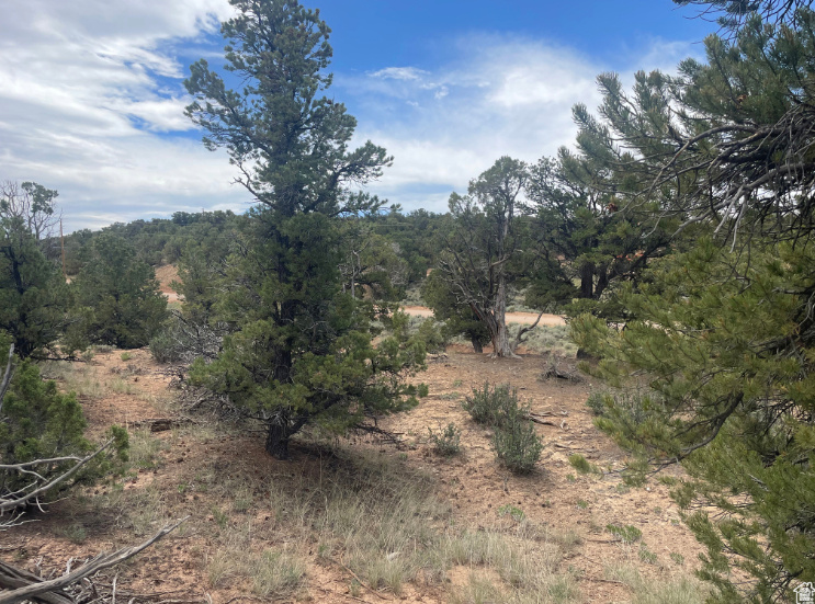main property photo 10