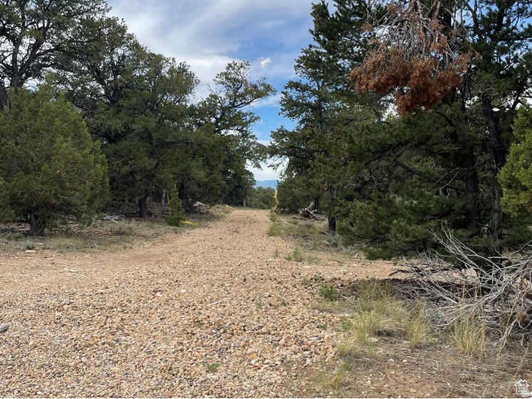 main property photo 22