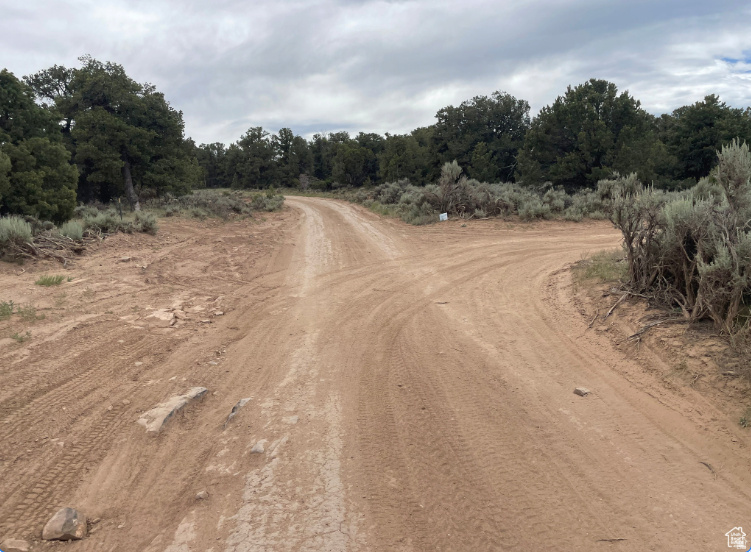 main property photo 31