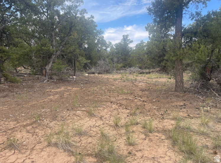 main property photo 36