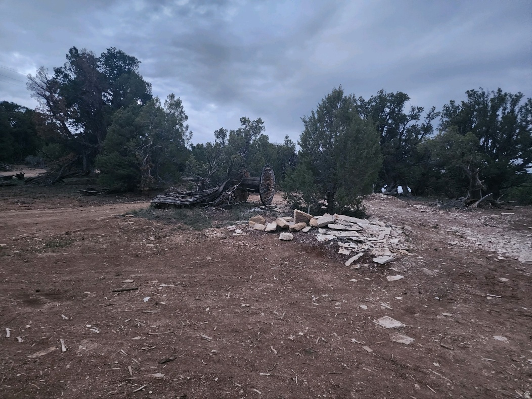 main property photo 5