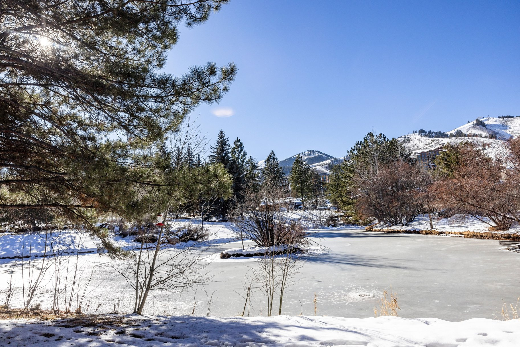 main property photo 49