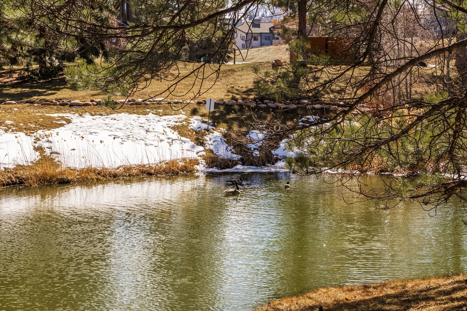 main property photo 55
