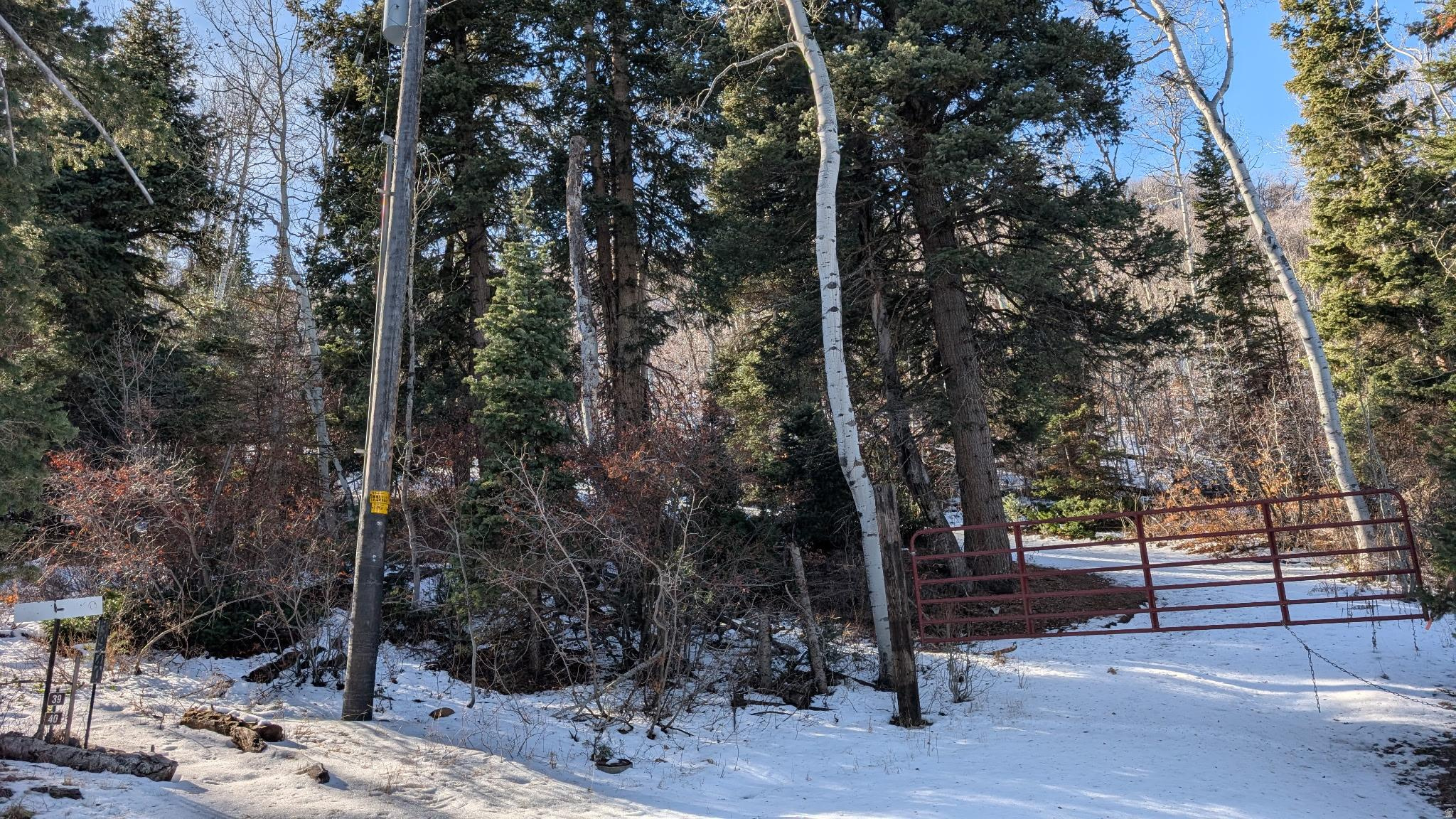 main property photo 2