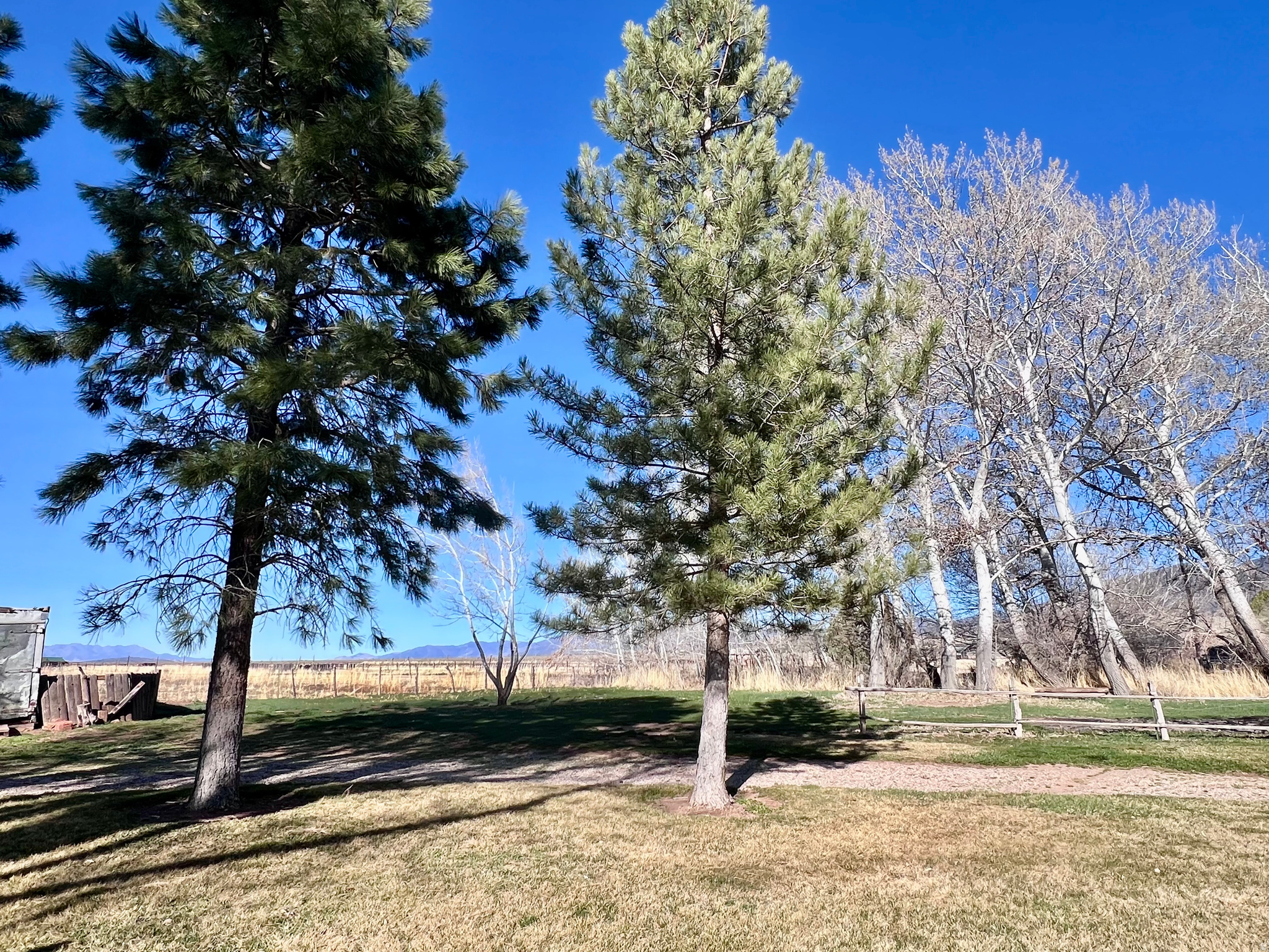 main property photo 50