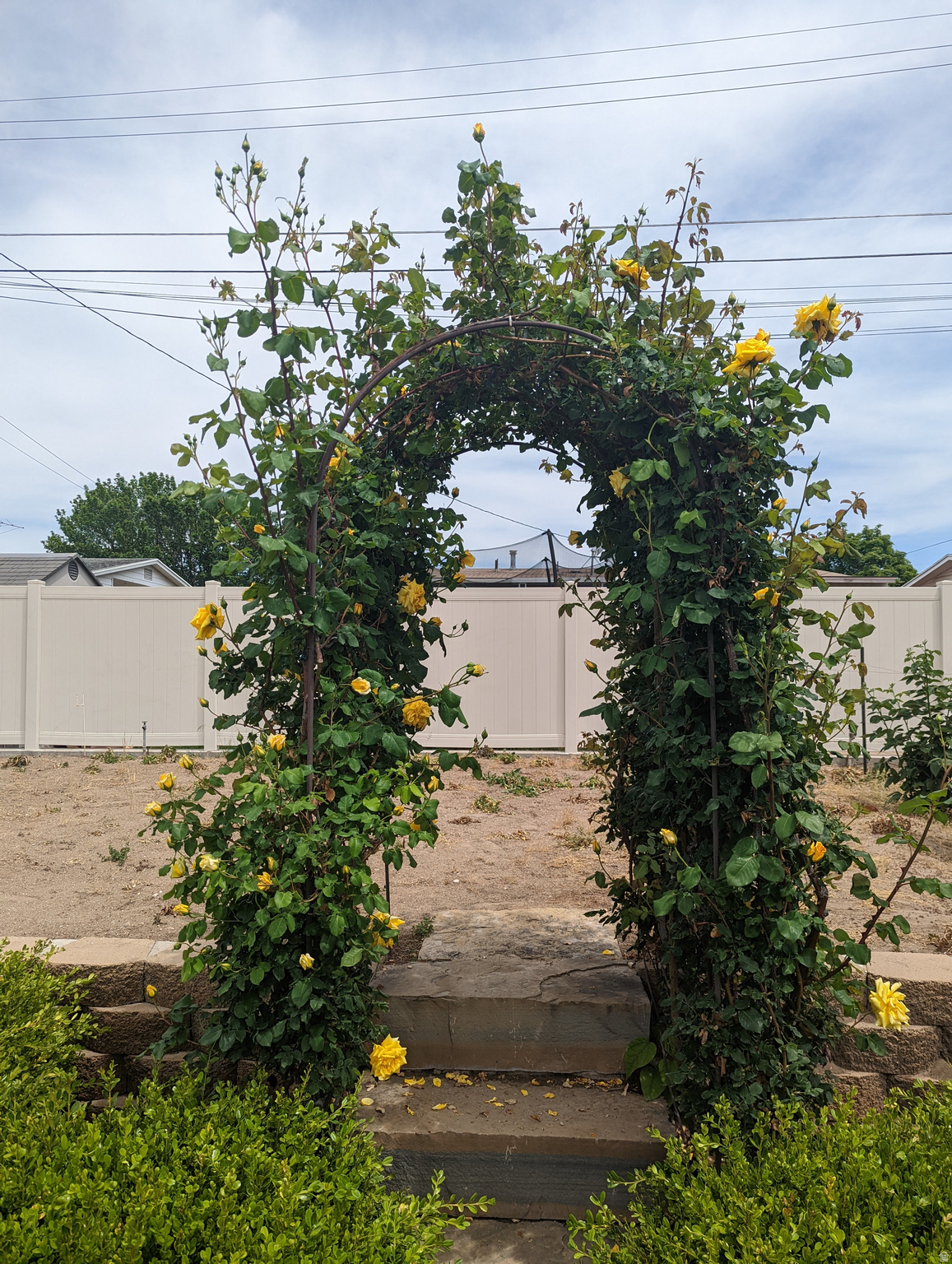 main property photo 29