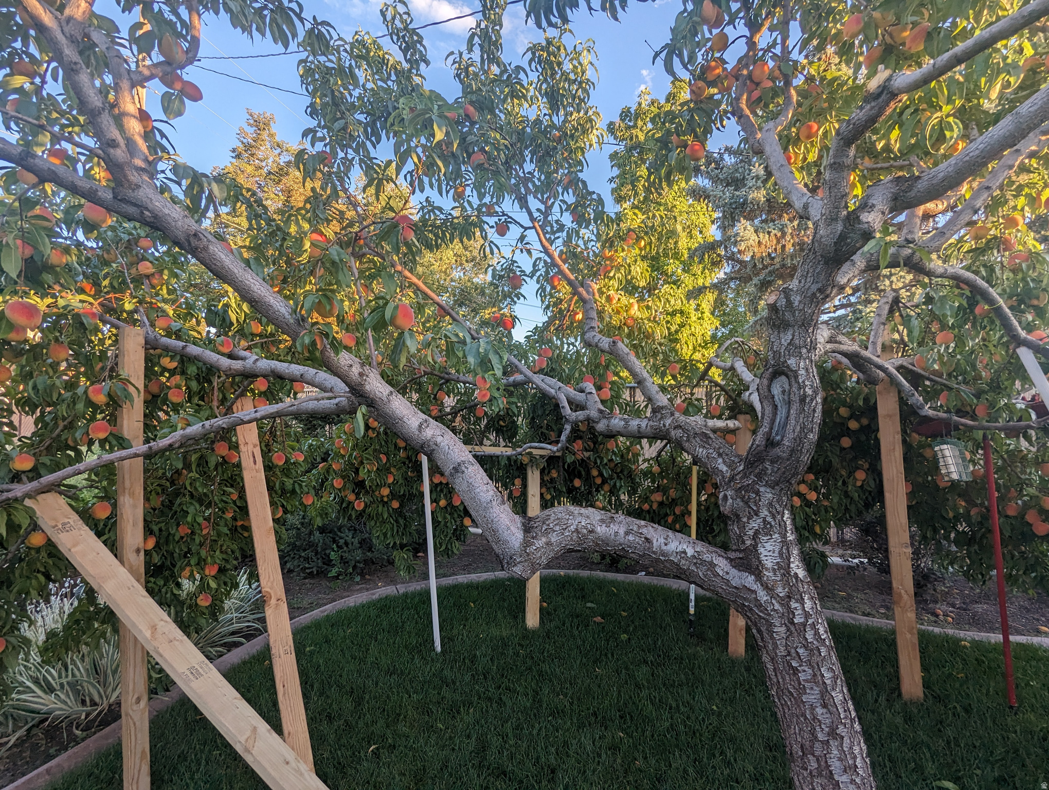 main property photo 39