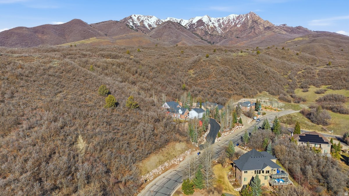 main property photo 53