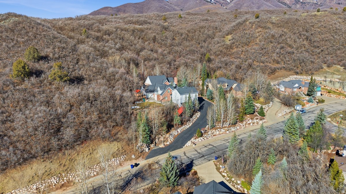 main property photo 54
