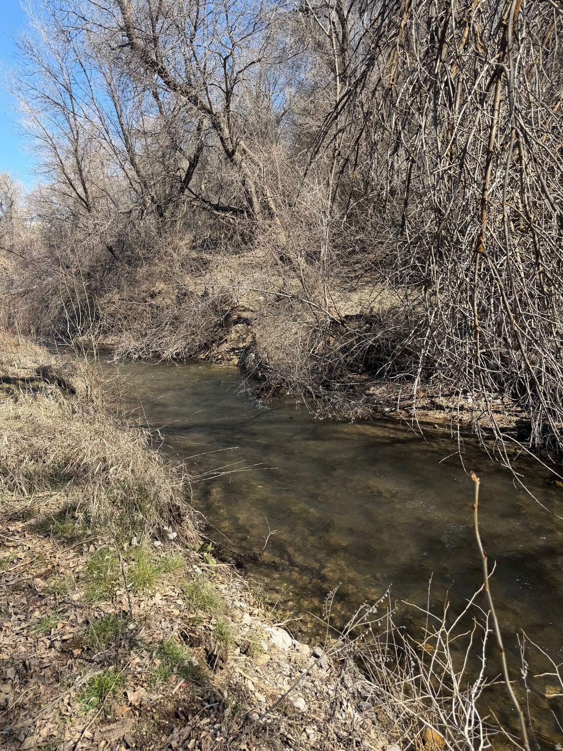 main property photo 11