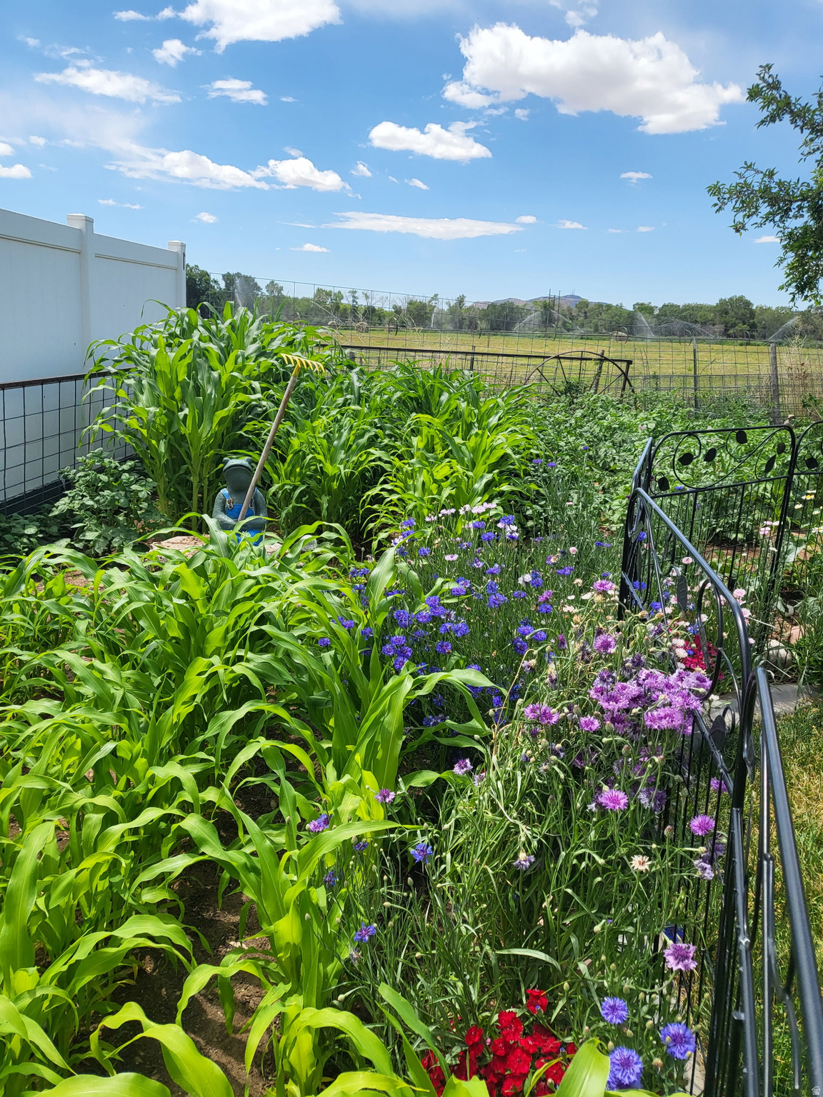 main property photo 44