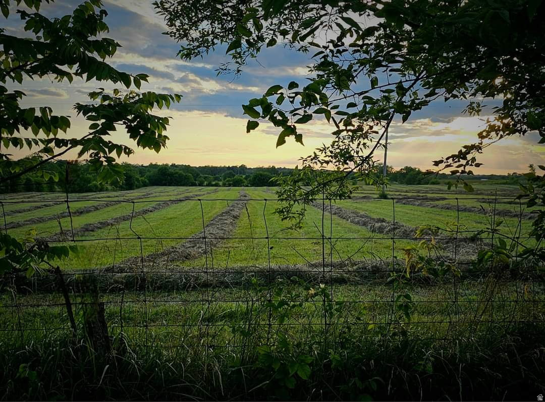 main property photo 47