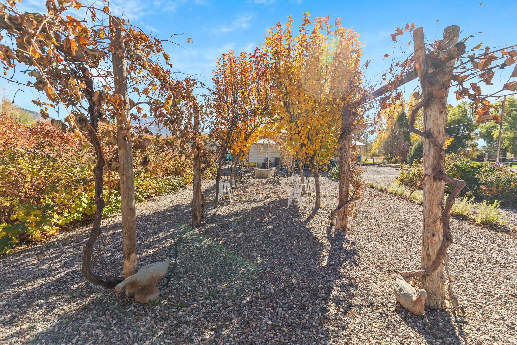 main property photo 33