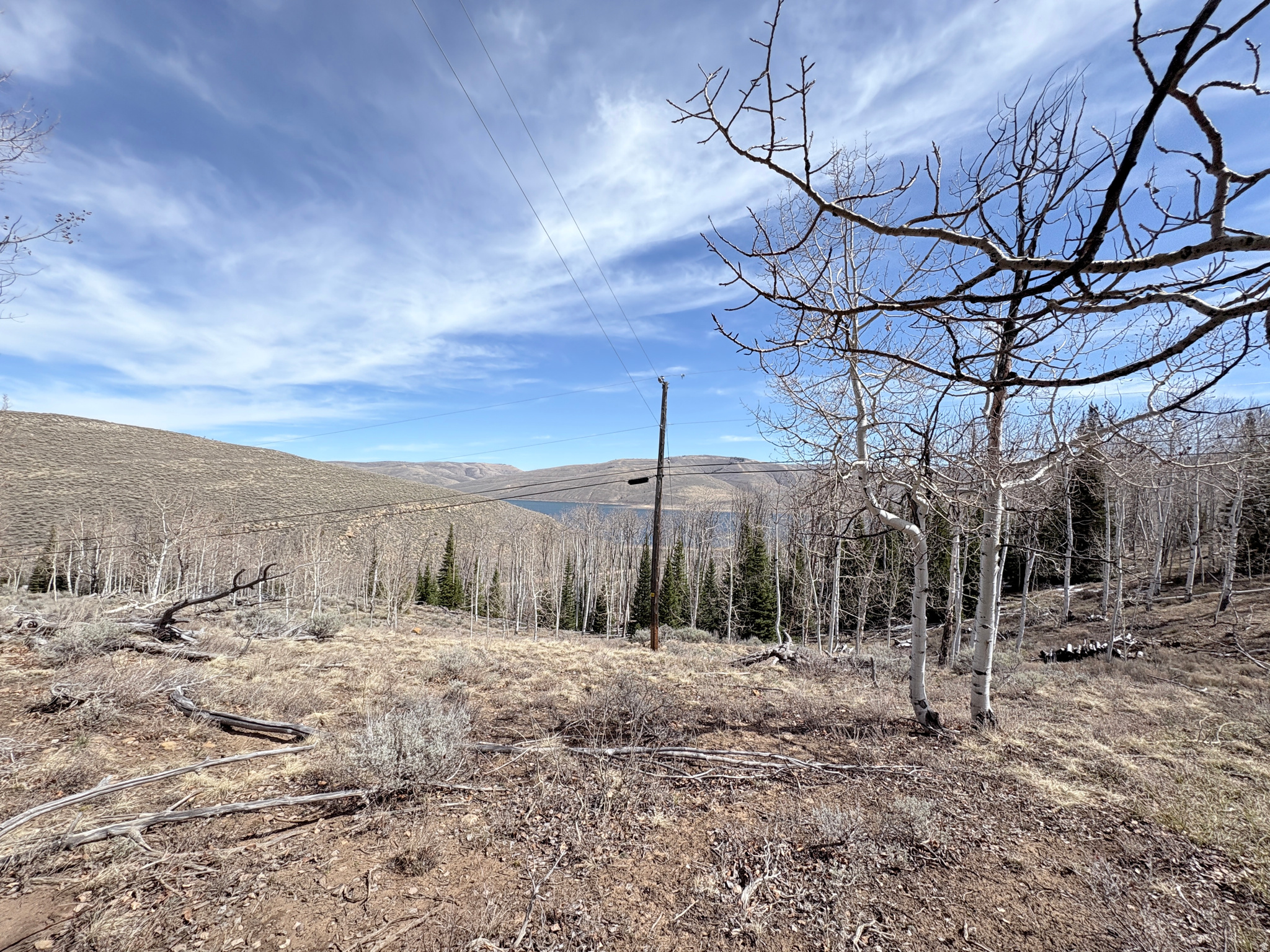 main property photo 19