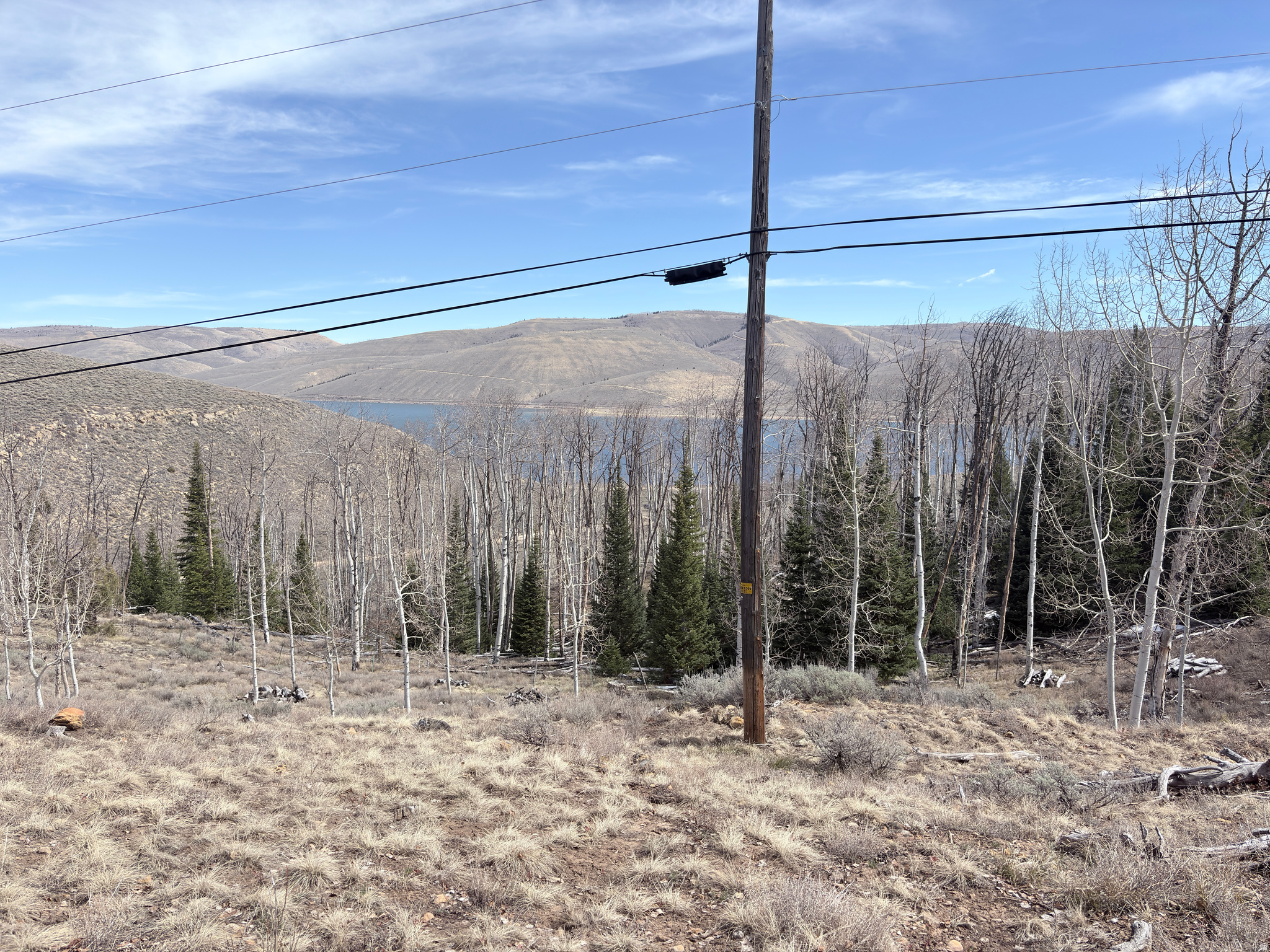 main property photo 22