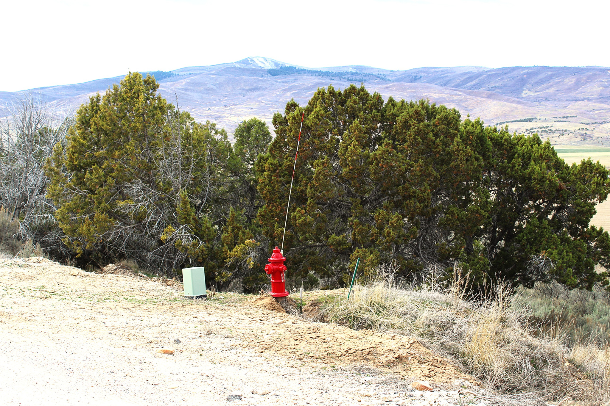 main property photo 7