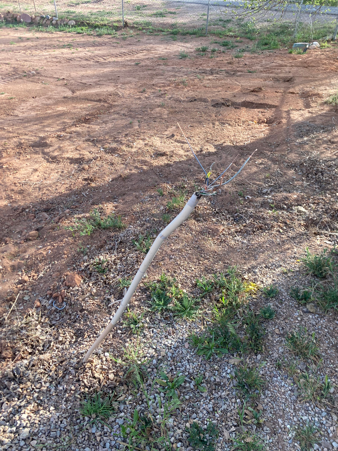 main property photo 10