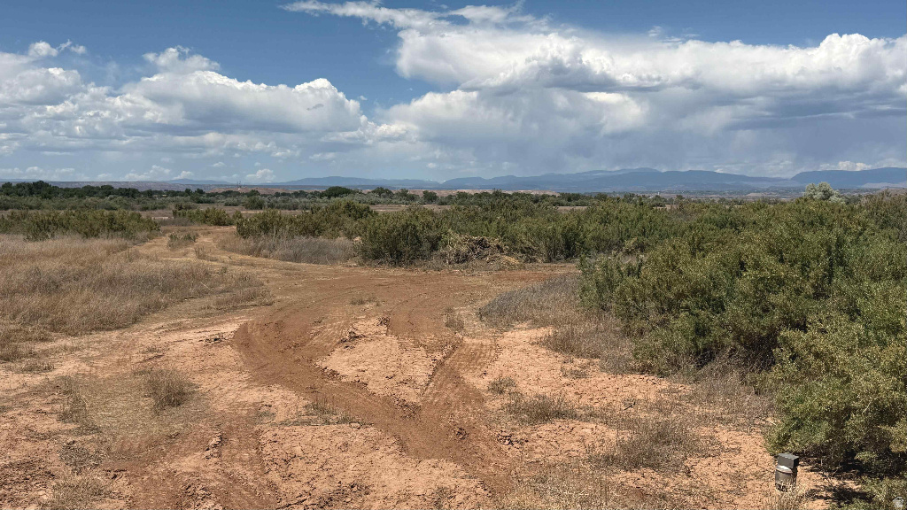 main property photo 19