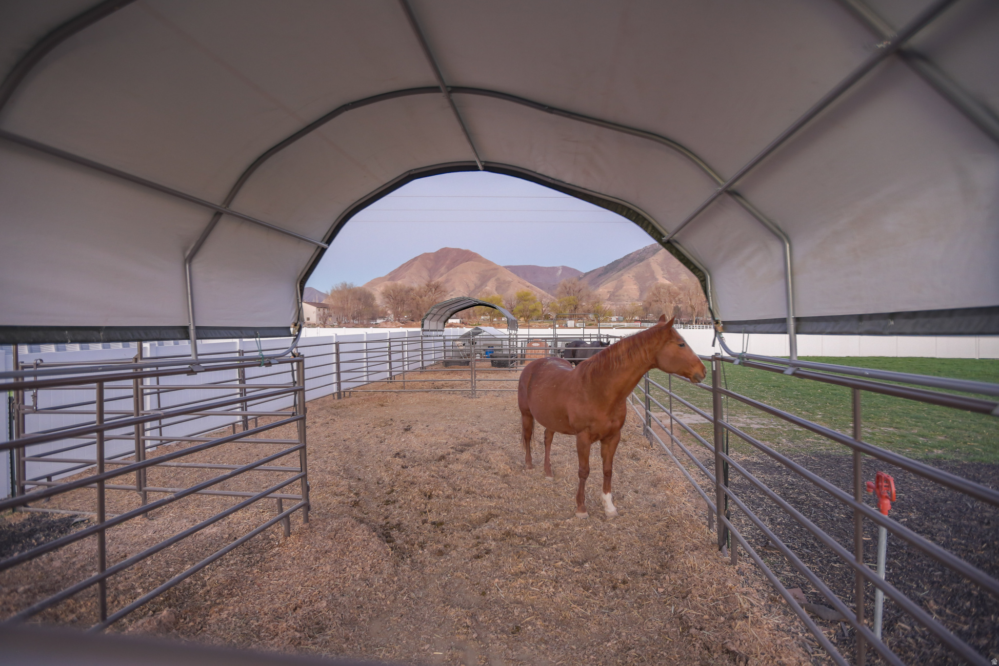 main property photo 76