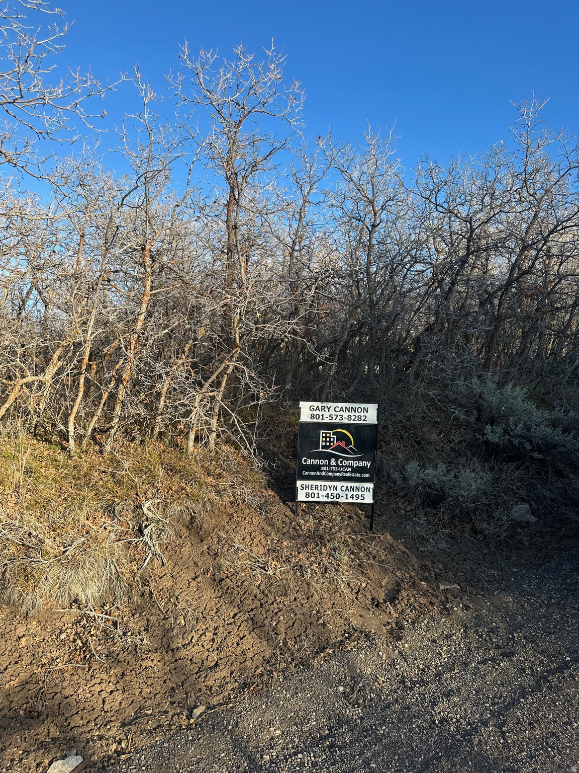 main property photo 7