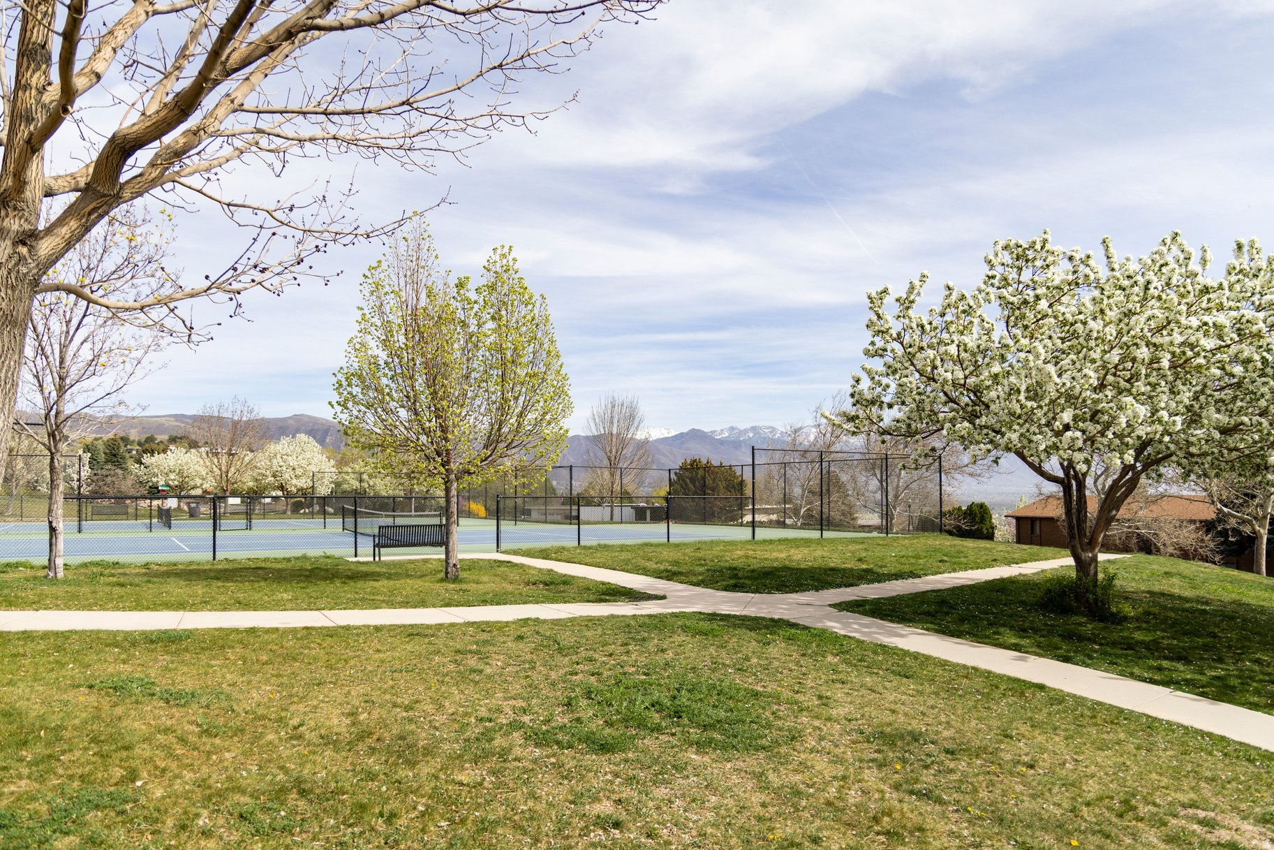 main property photo 101