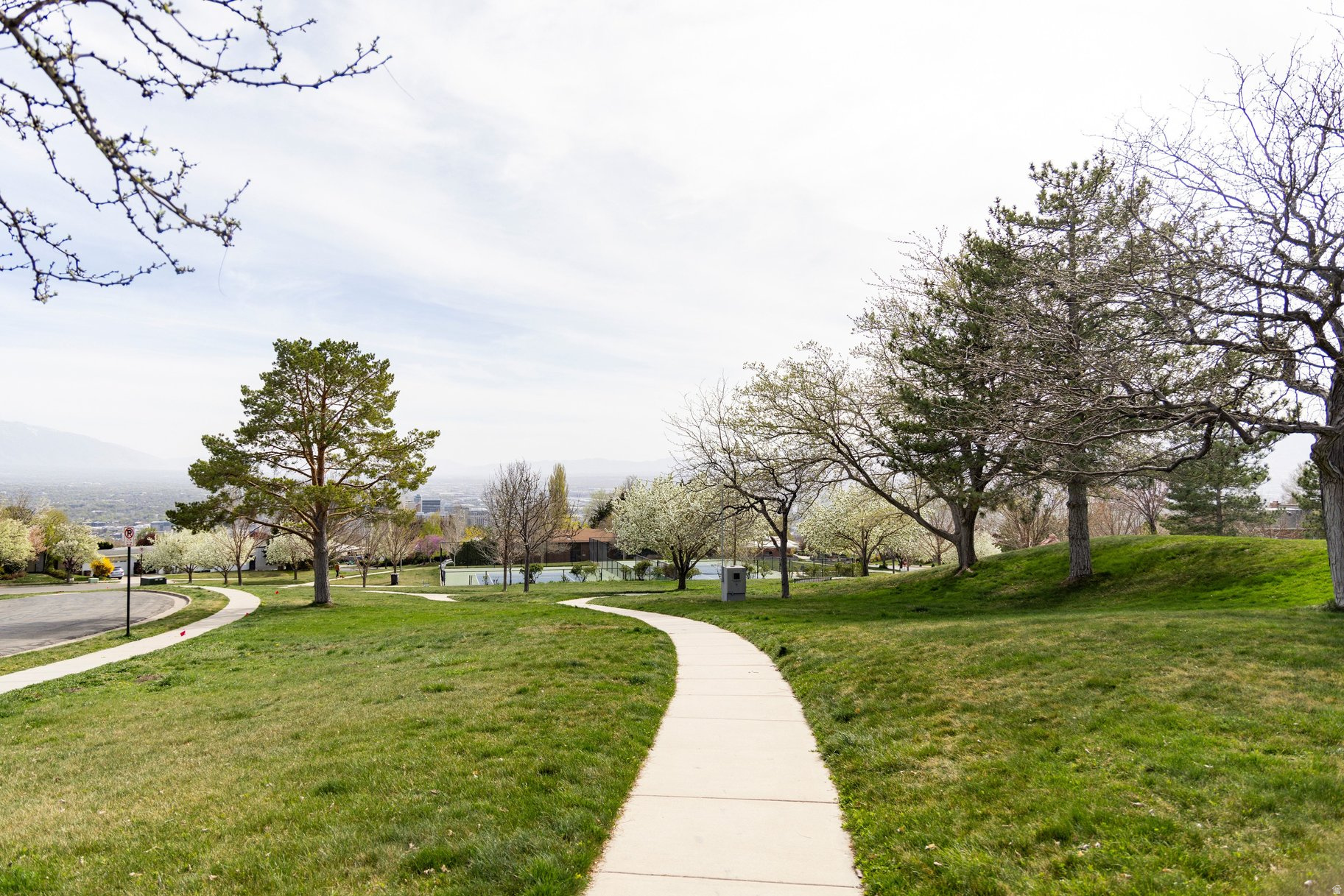 main property photo 104