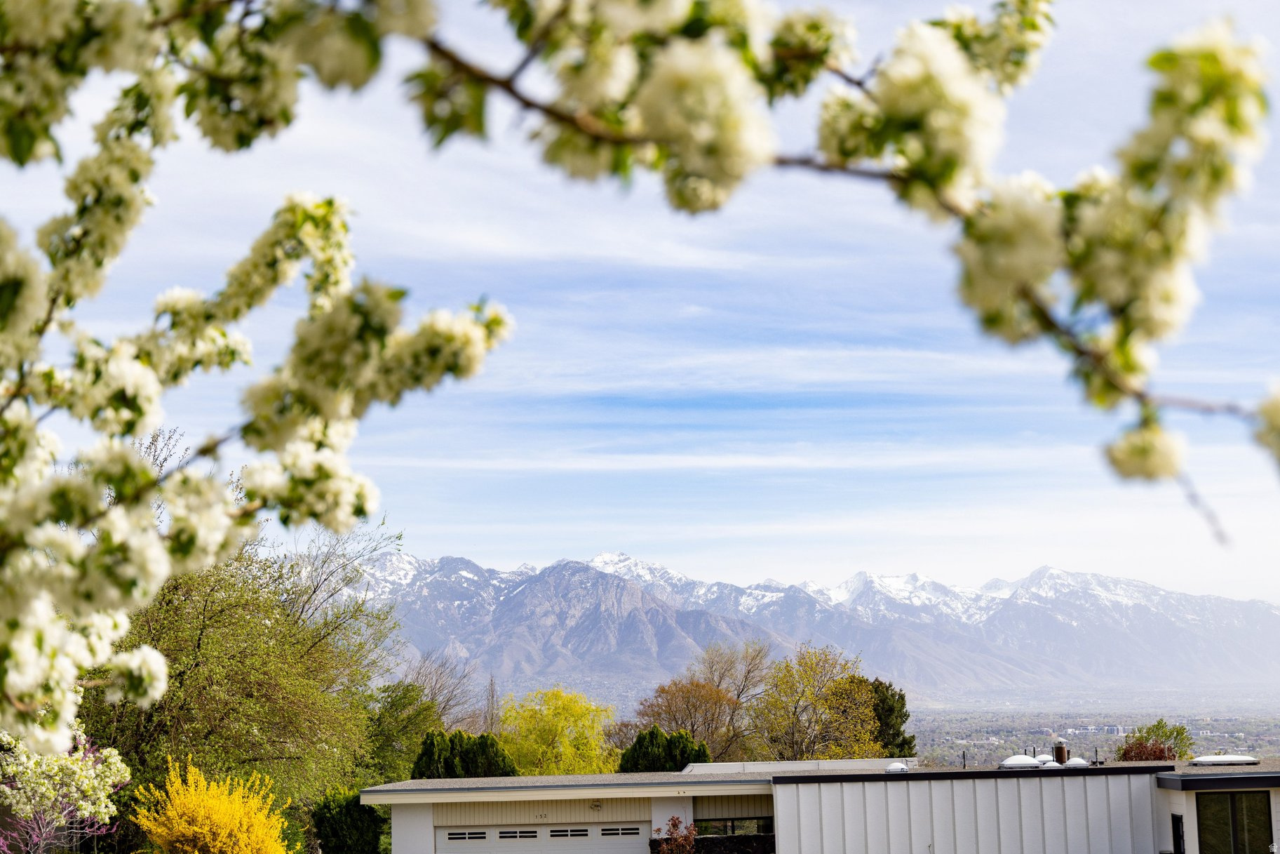 main property photo 98