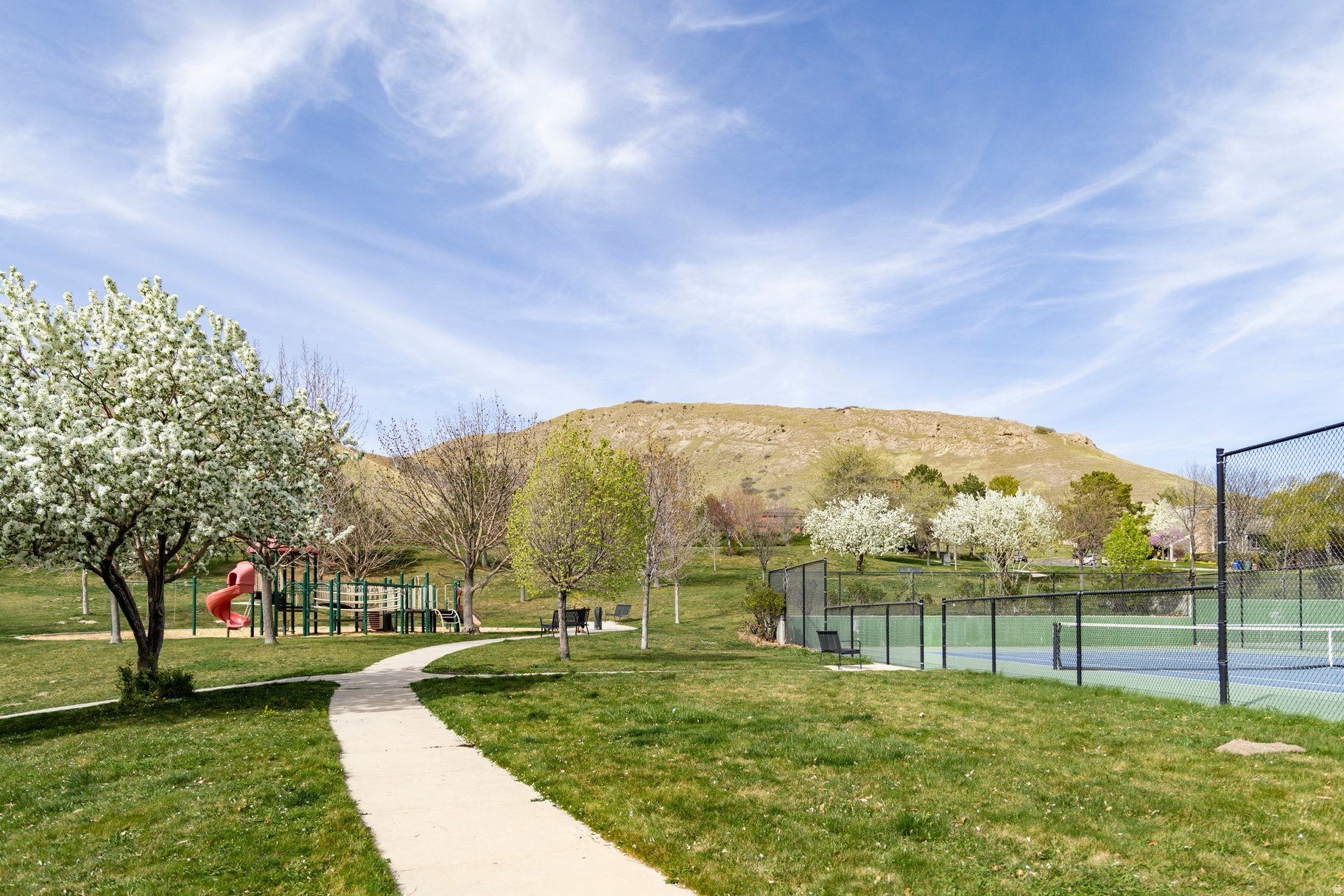main property photo 99