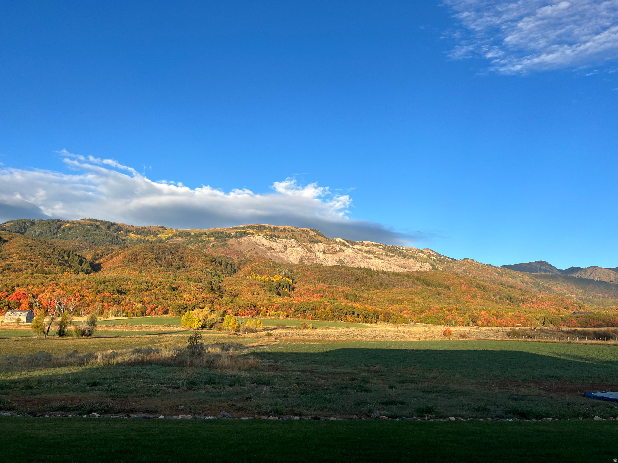 main property photo 44