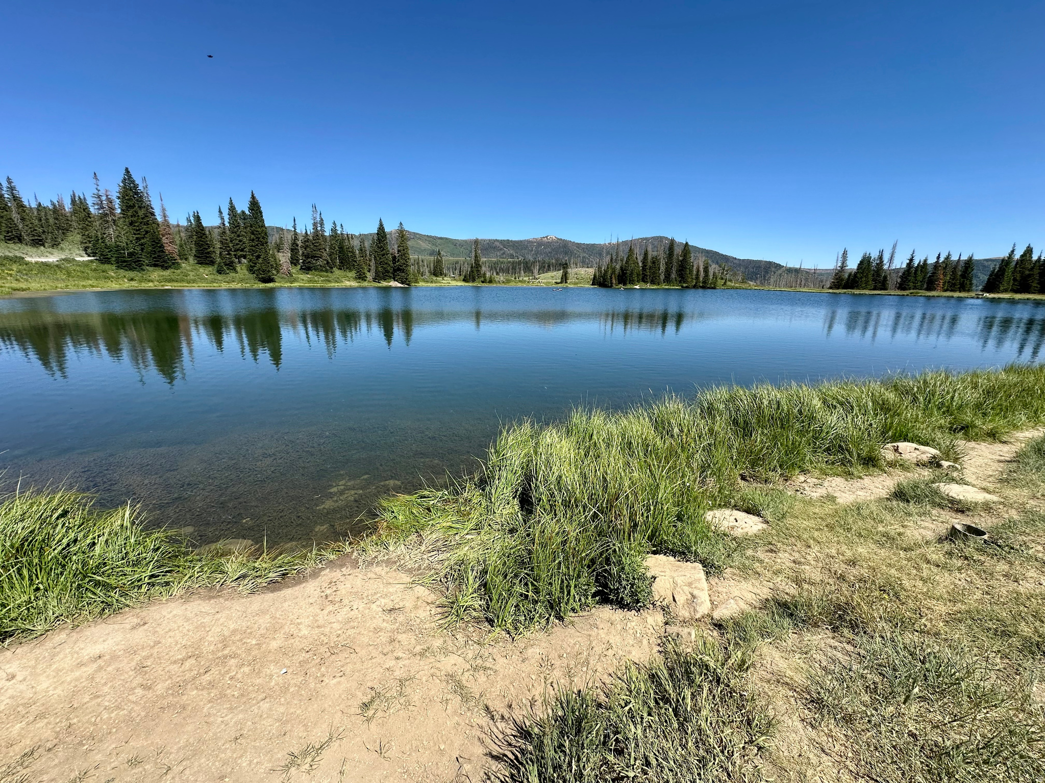 main property photo 39