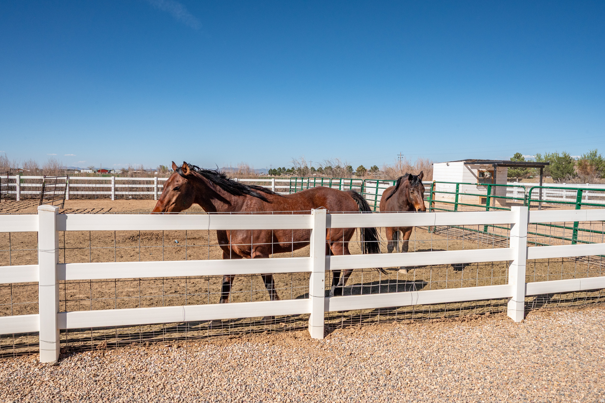 main property photo 74
