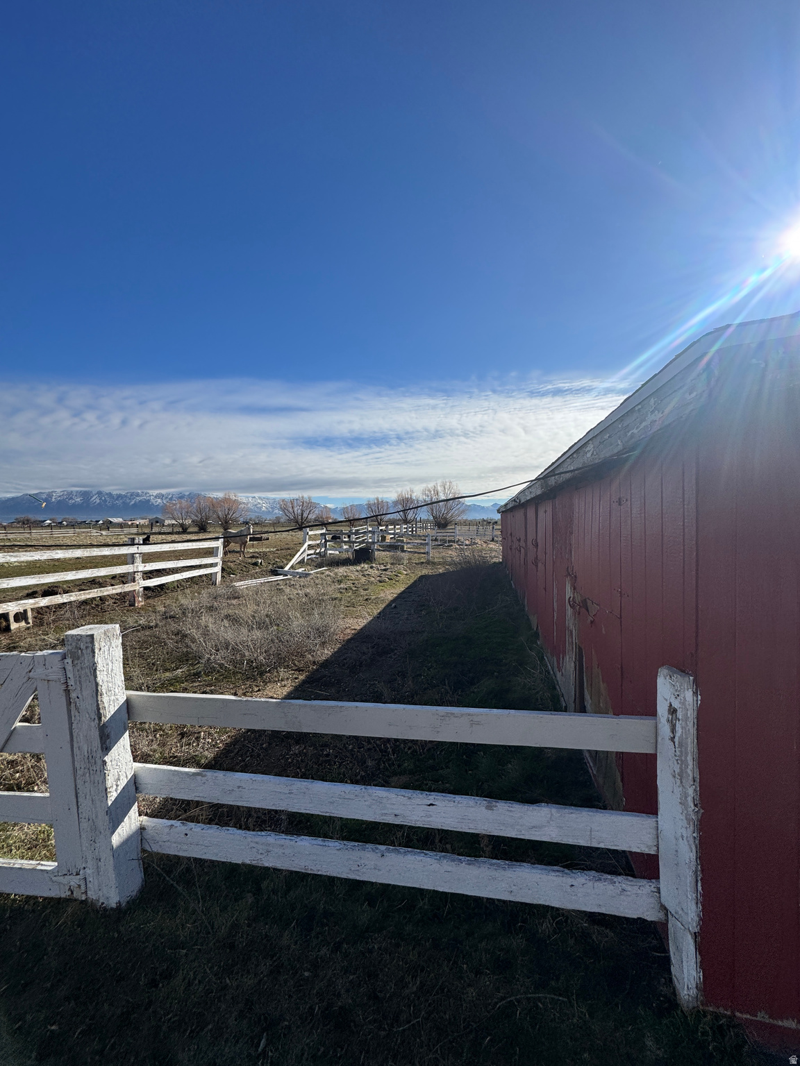 main property photo 46