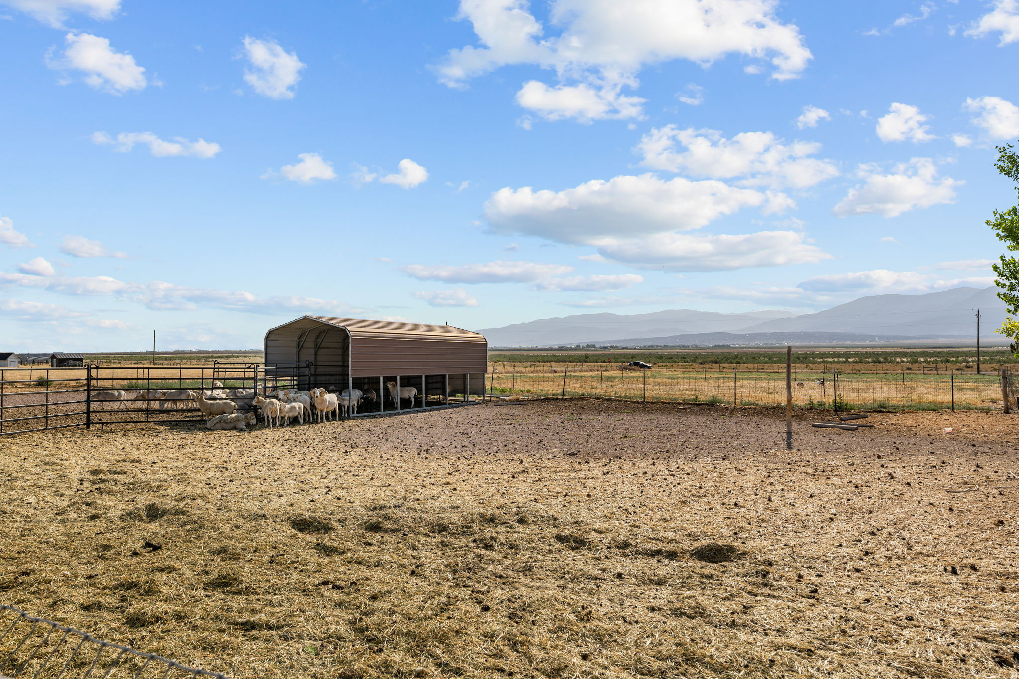 main property photo 83