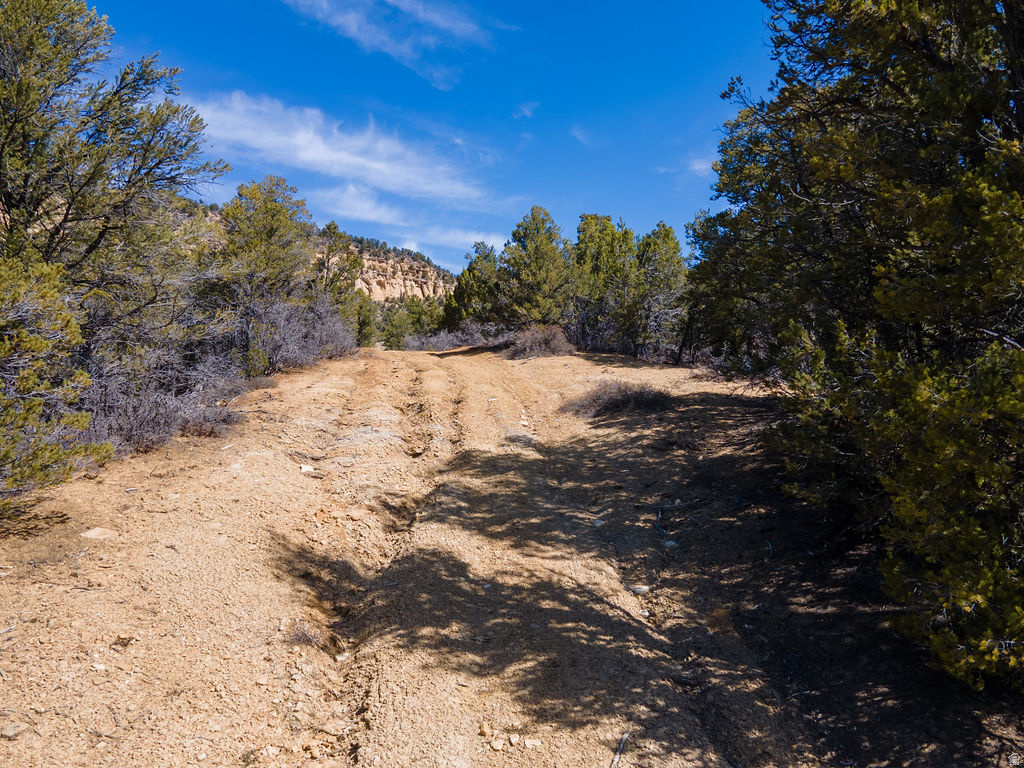 main property photo 16