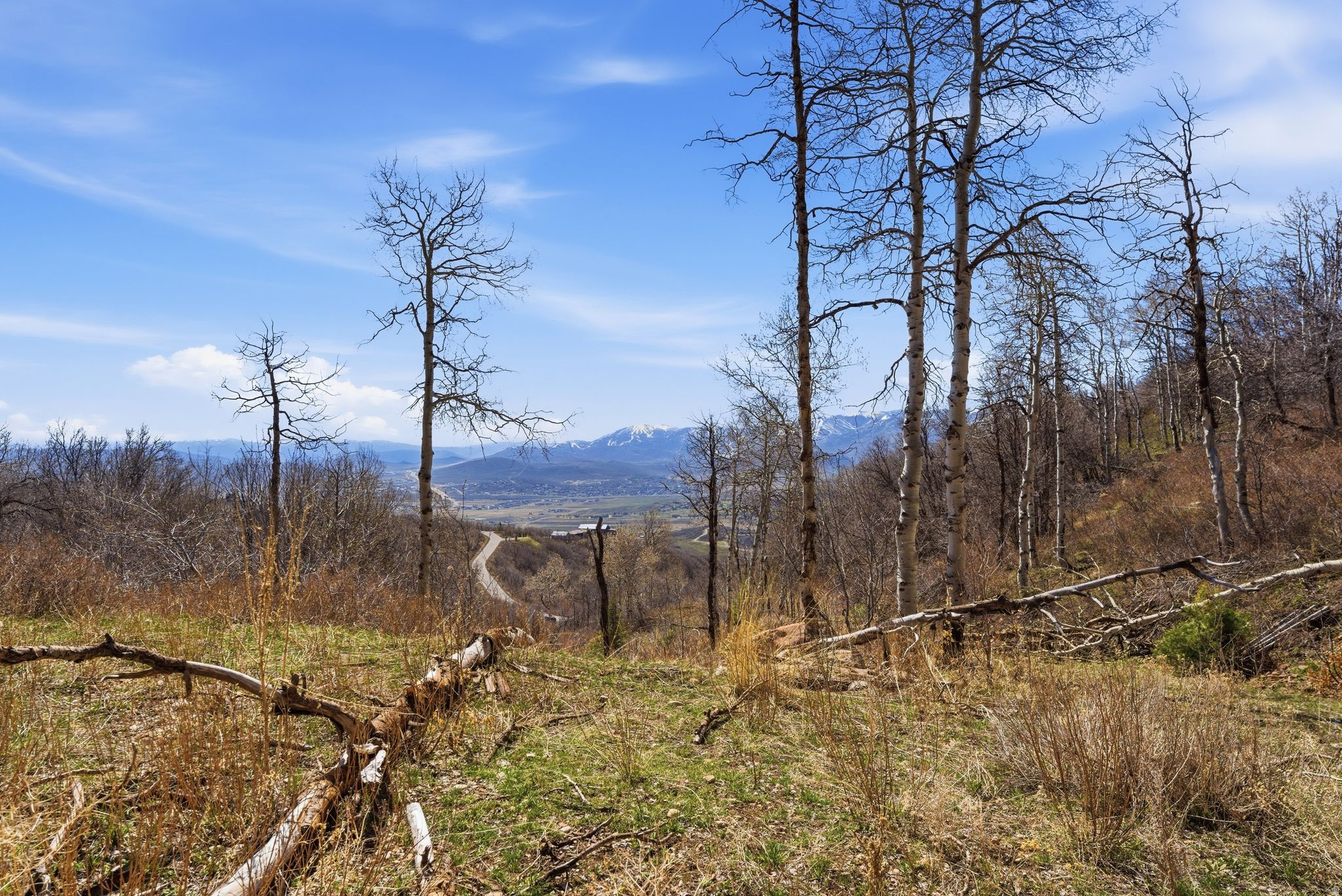 main property photo 19
