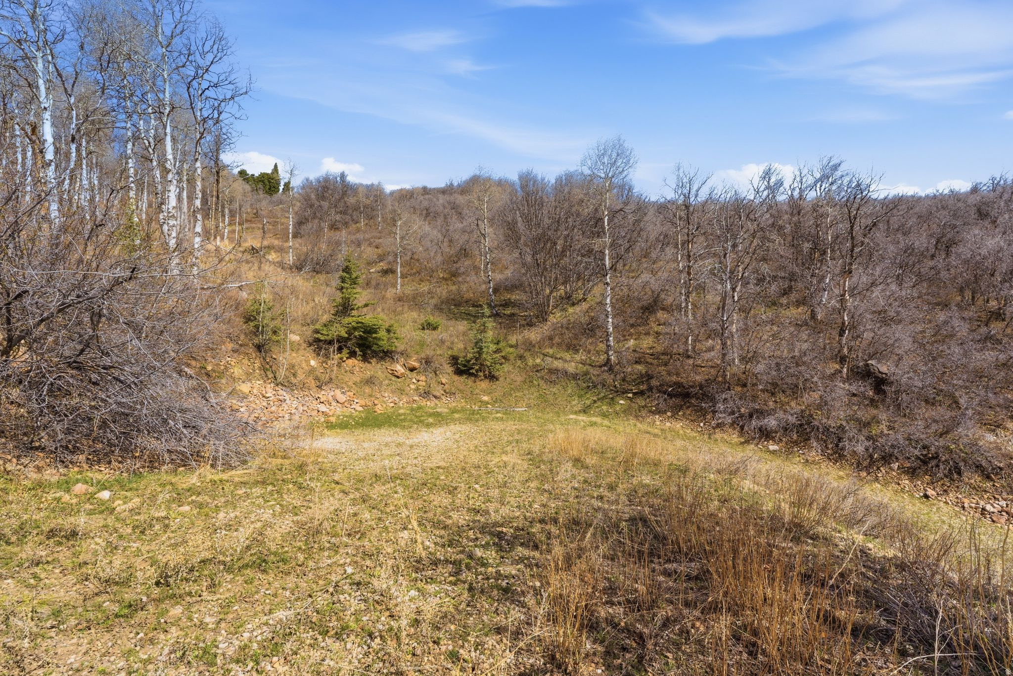 main property photo 31