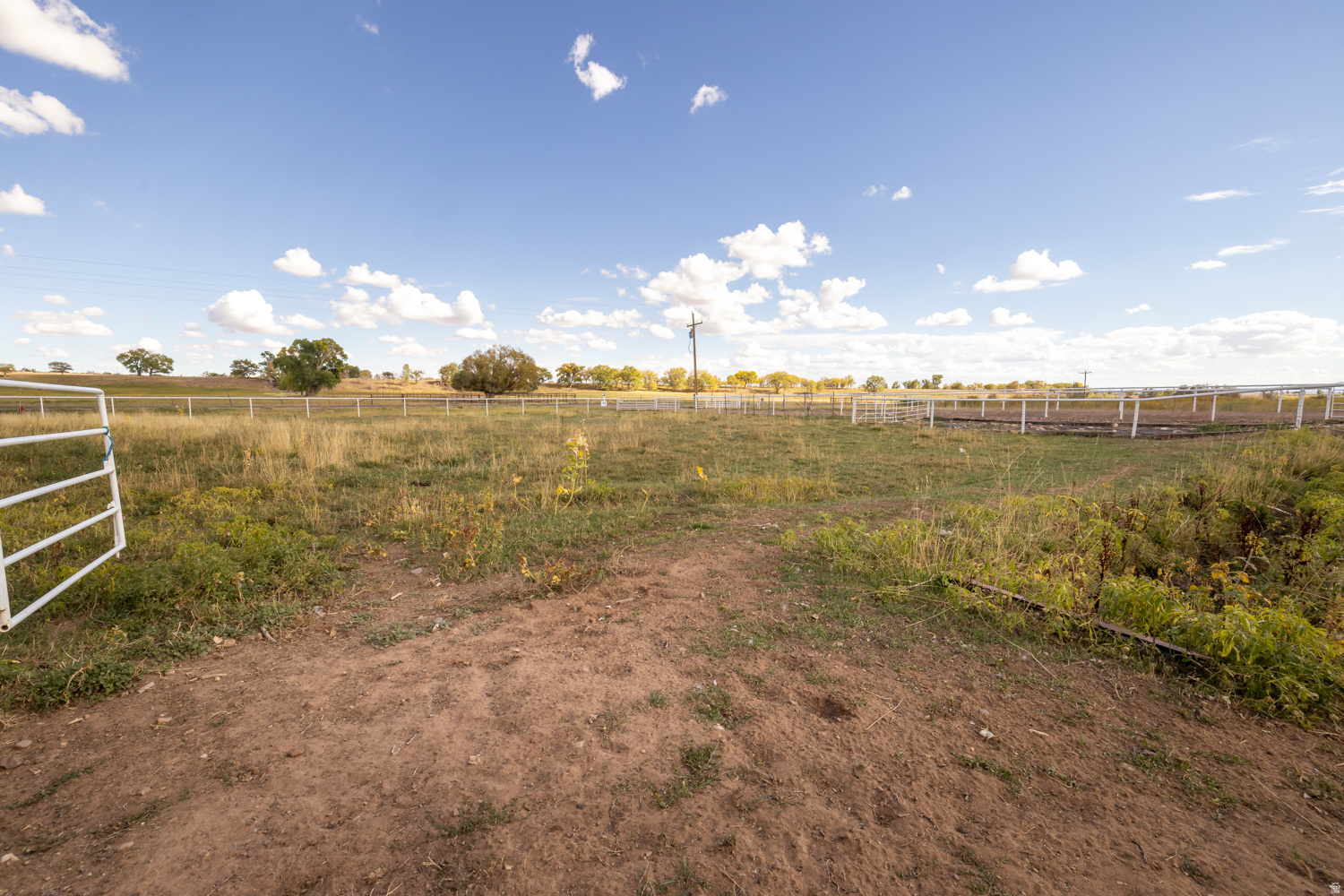 main property photo 44