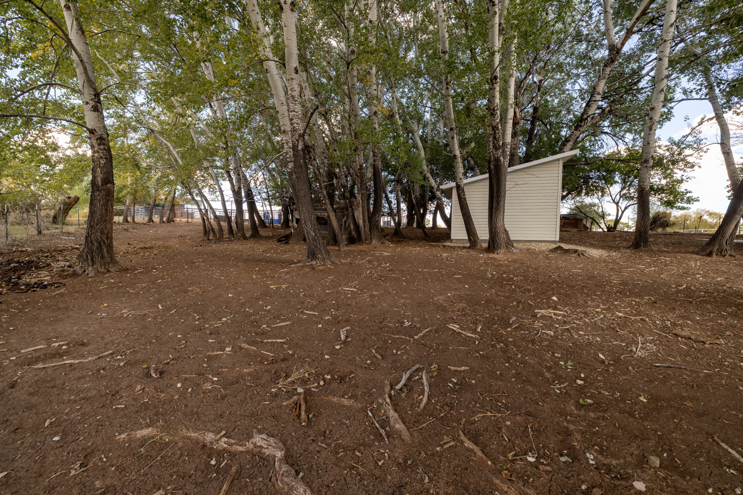 main property photo 48
