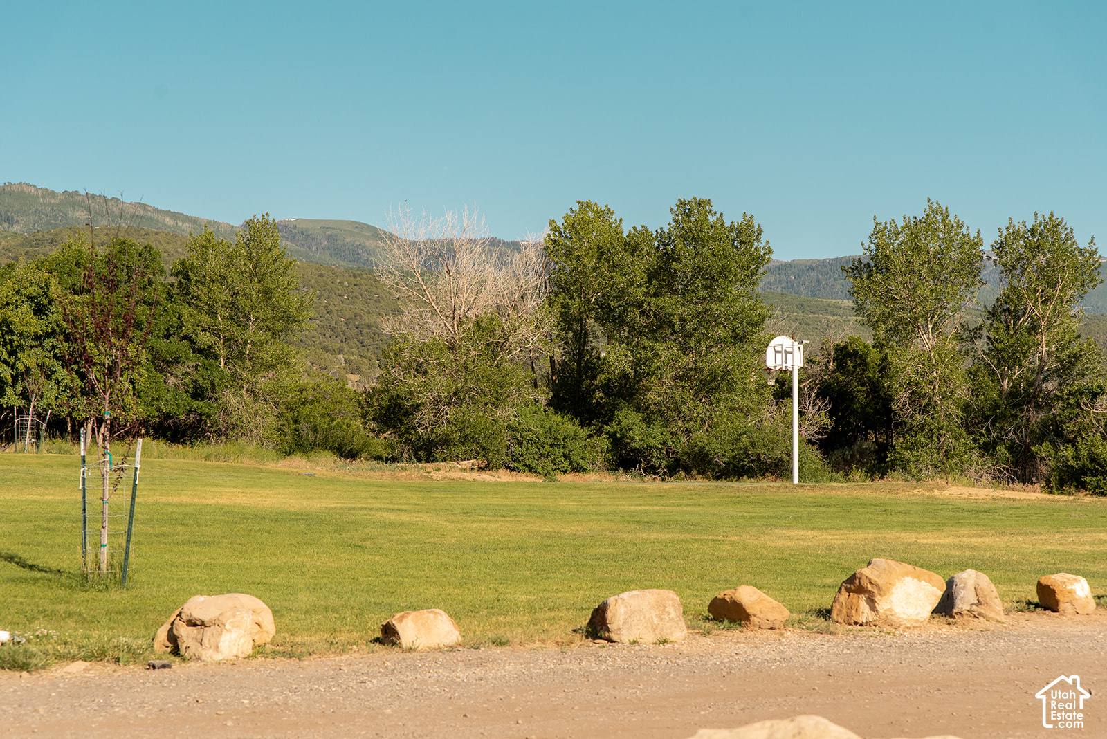 main property photo 53