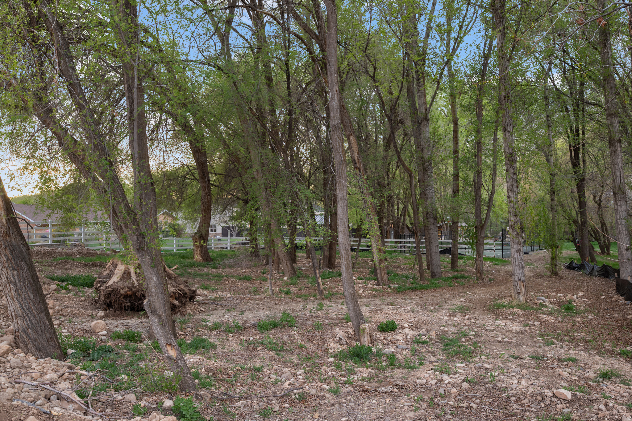 main property photo 12