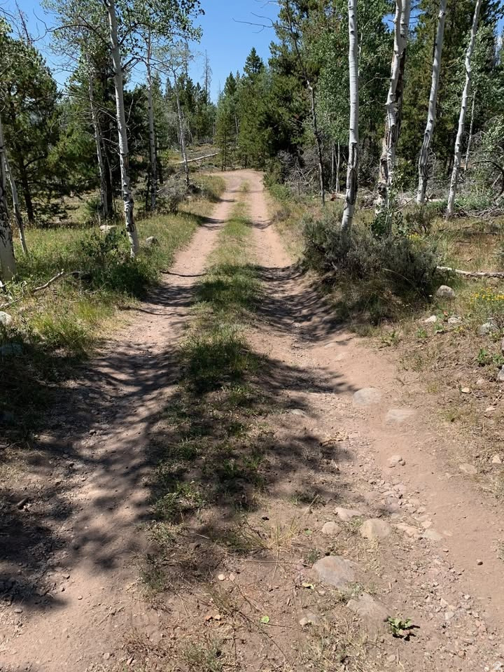 main property photo 8
