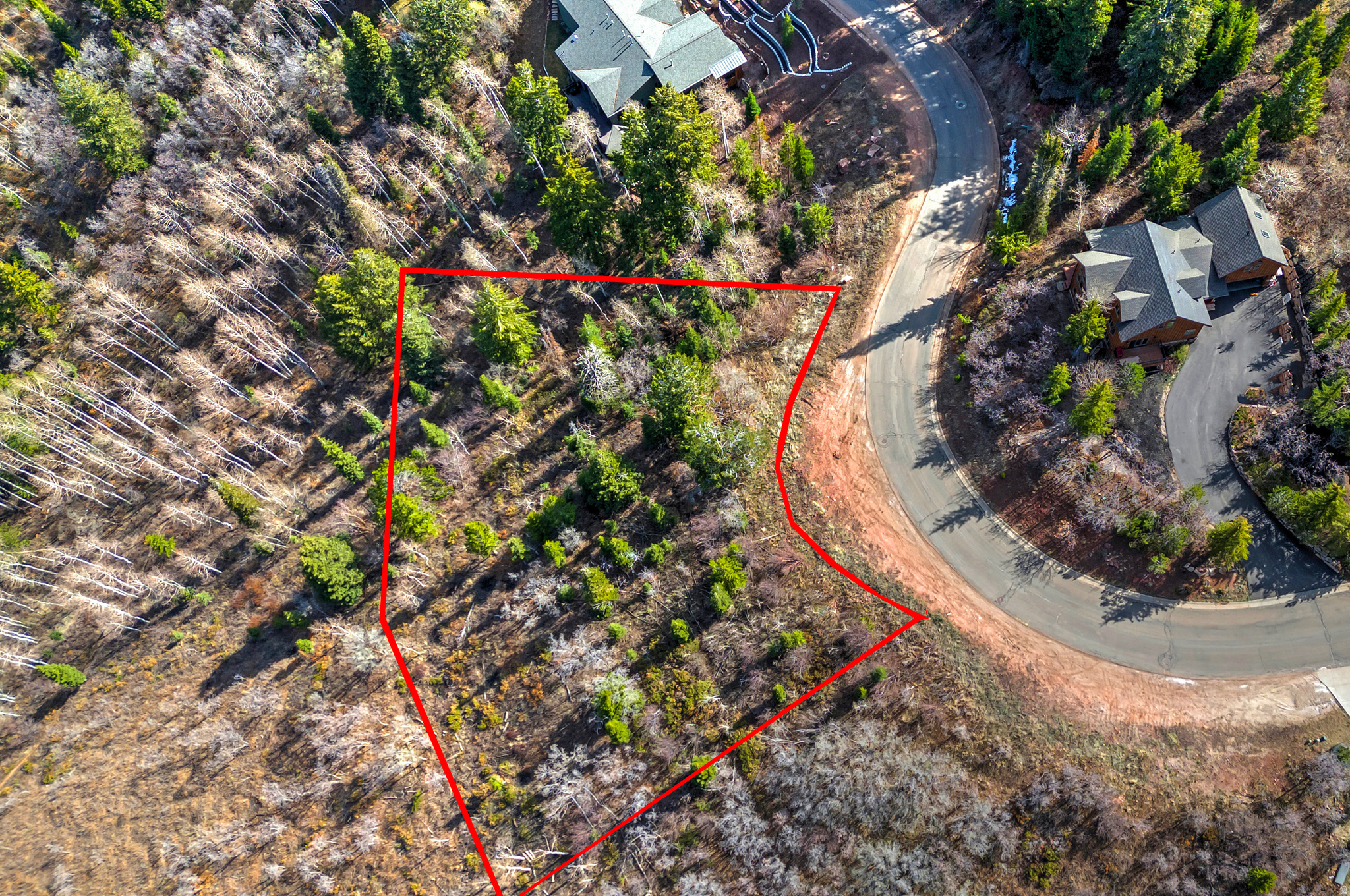 main property photo 11