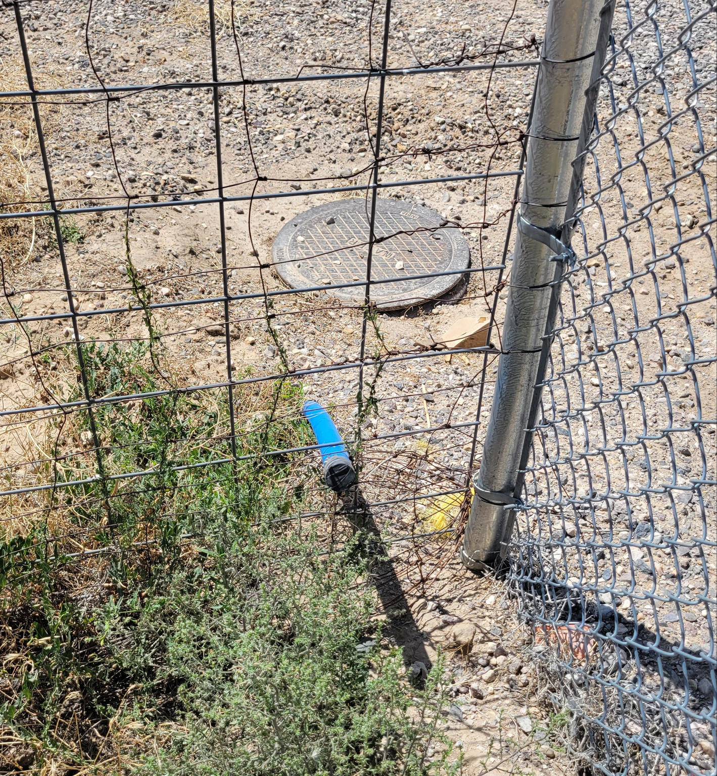 main property photo 6